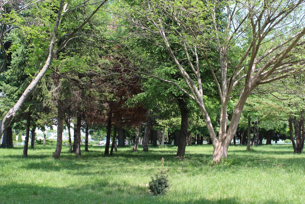 Youth Centre Plovdiv Kültér fotó